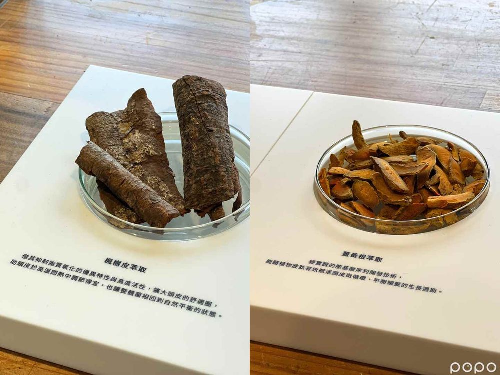 2024最強頭皮精華液上市！綠藤生機「追根究柢養髮精華」，天然成分、零厚重感，養成髮量王者不是夢！-5