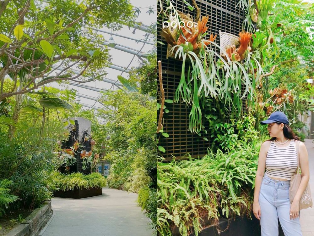 2024台北5大室內景點推薦！復古滑輪場、有冷氣植物園⋯暴雨高溫都不怕！-1