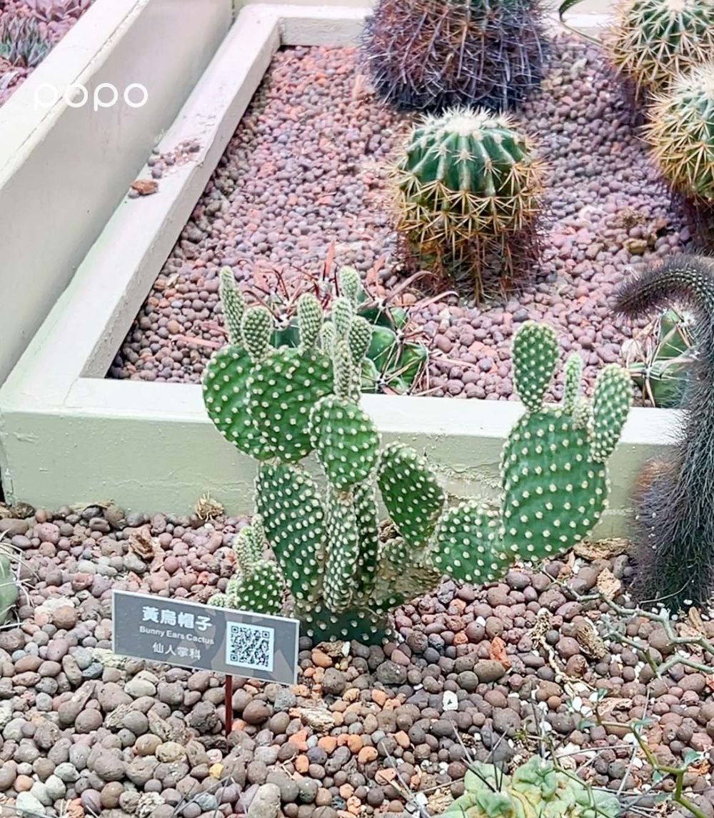 2024台北5大室內景點推薦！復古滑輪場、有冷氣植物園⋯暴雨高溫都不怕！-2