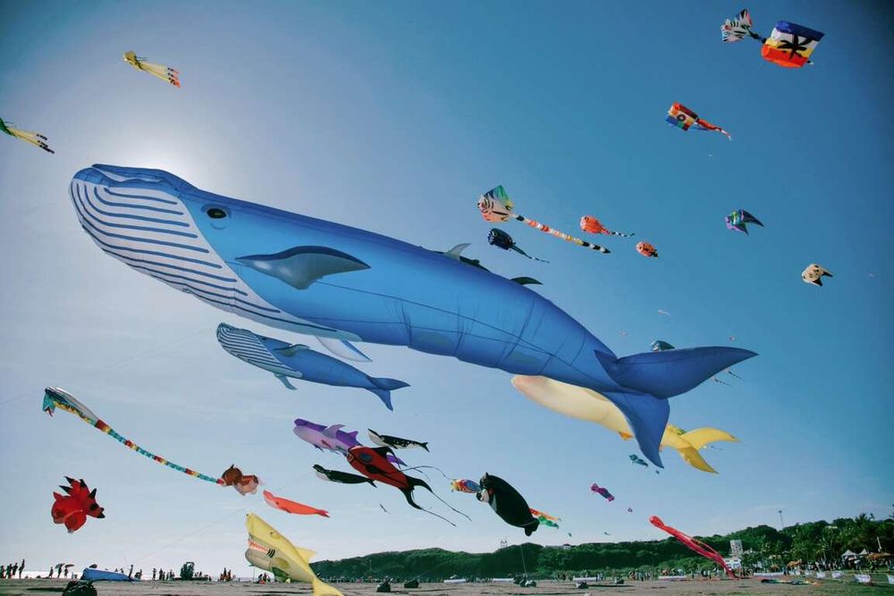 2024旗津風箏節來了！超大鯨魚、高雄熊風箏隨便拍都可愛翻，地點、交通資訊一次看！-1