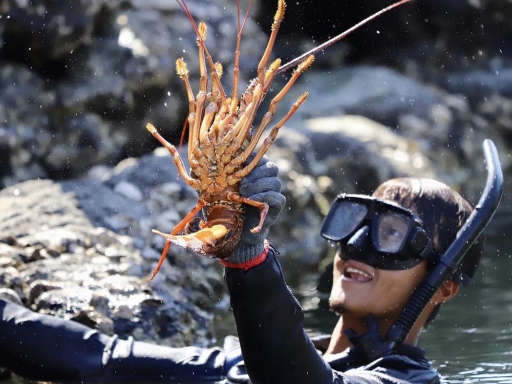 2024澎湖花火節來了！「台版貓島」虎井嶼、情侶必訪七美島等5大景點懶人包一次看！-3