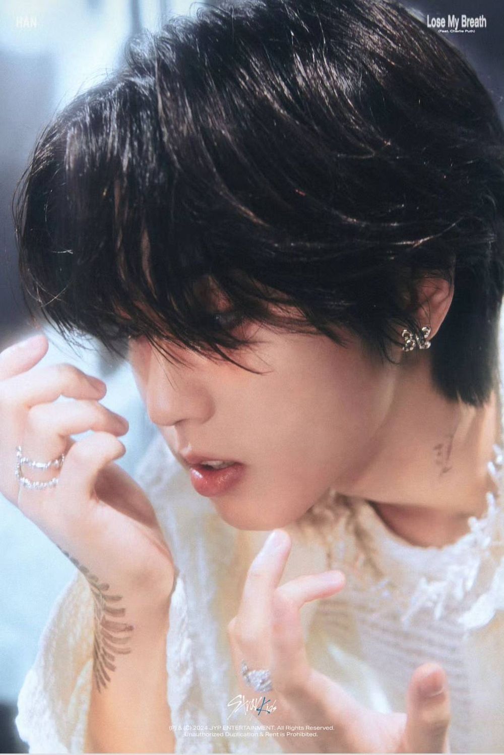 Stray Kids宣佈來台開唱！11月將站上「這裡」開唱，終於能見到Felix本人了！-5