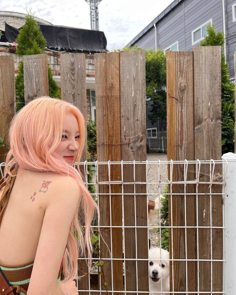 她們的刺青好好看～韓國女星身上刺青曝光！雨琦背上柯基超可愛、JISOO刺在這位置？！-6