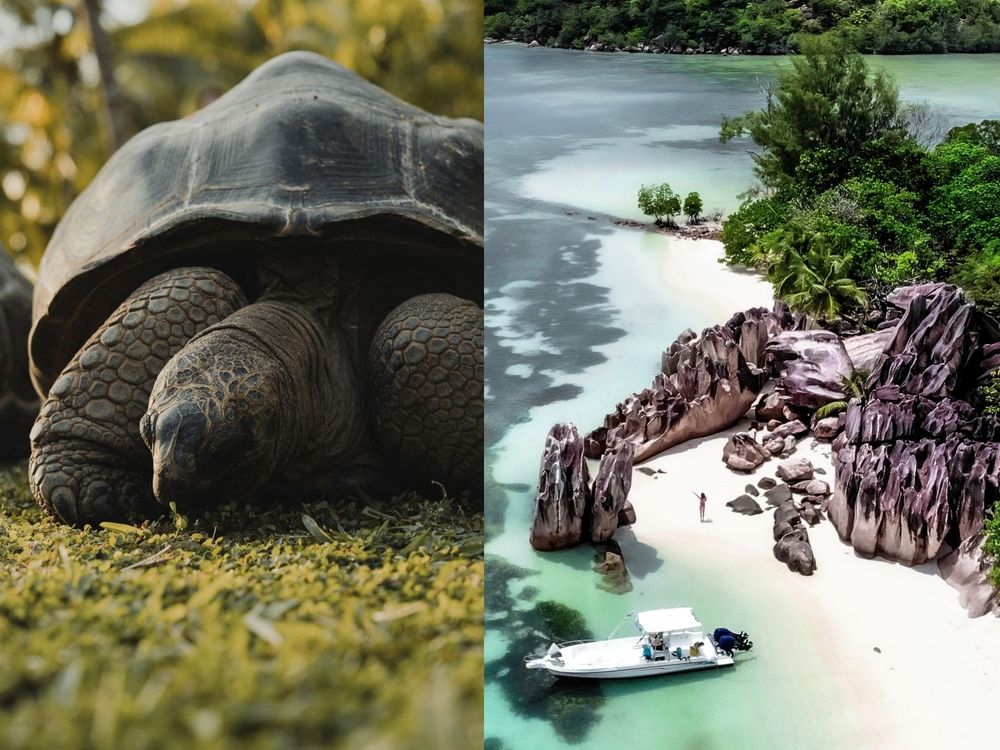 Club Med推「謐境探索系列」度假體驗！超夯北海道Kiroro雪村五天四夜每人只要6.6萬起！-6