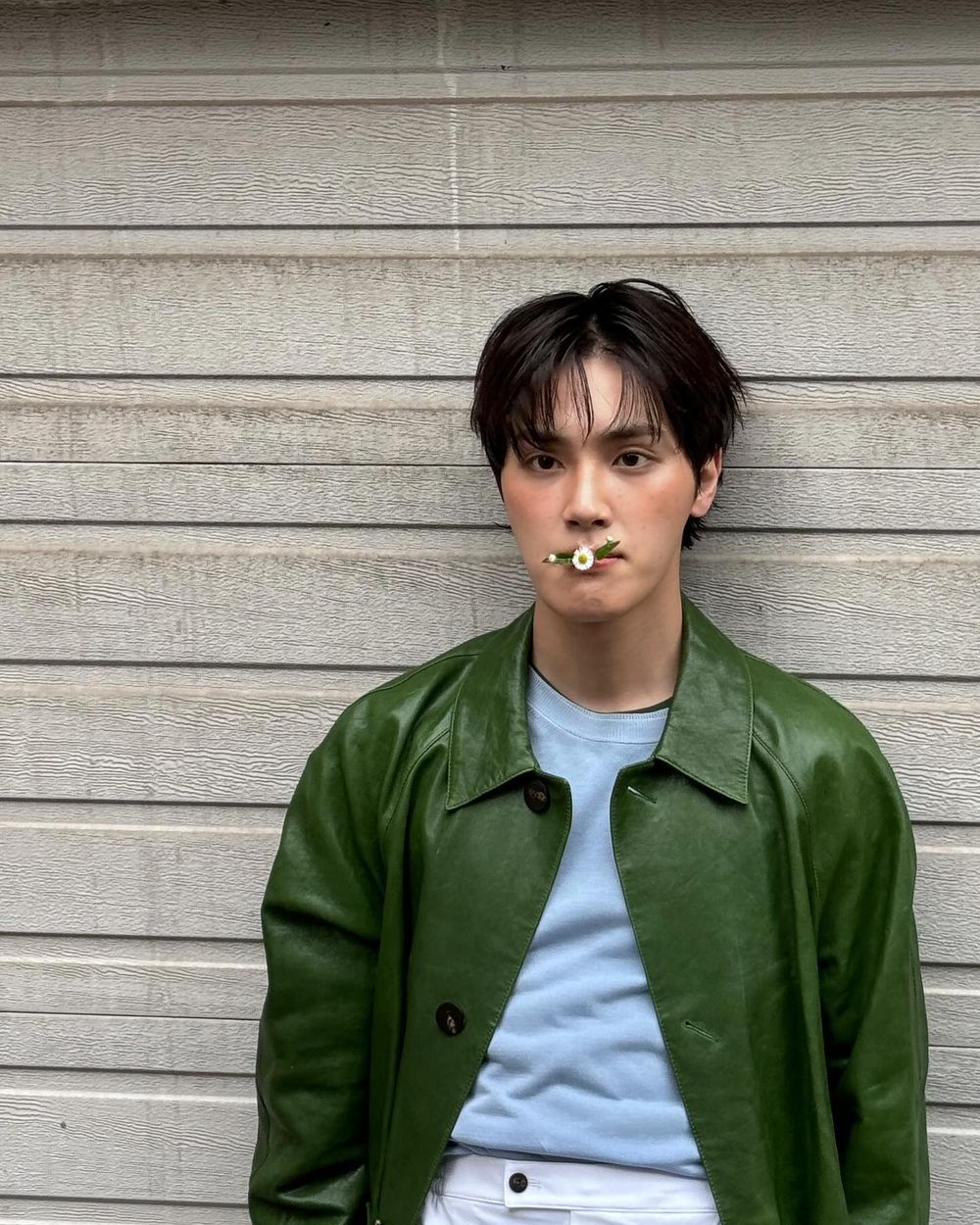 韓網熱議濟州島出身的6位人氣偶像！Liz、Mimi都是代表，勝寛成為觀光大使！-7