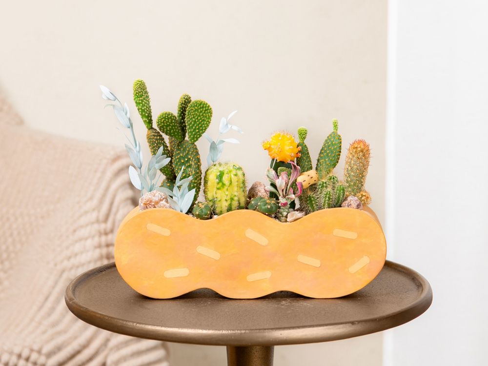 2024年底招財小物推薦！5款開運招財多肉植物推薦、放在桌上可愛又能賺大錢！-6