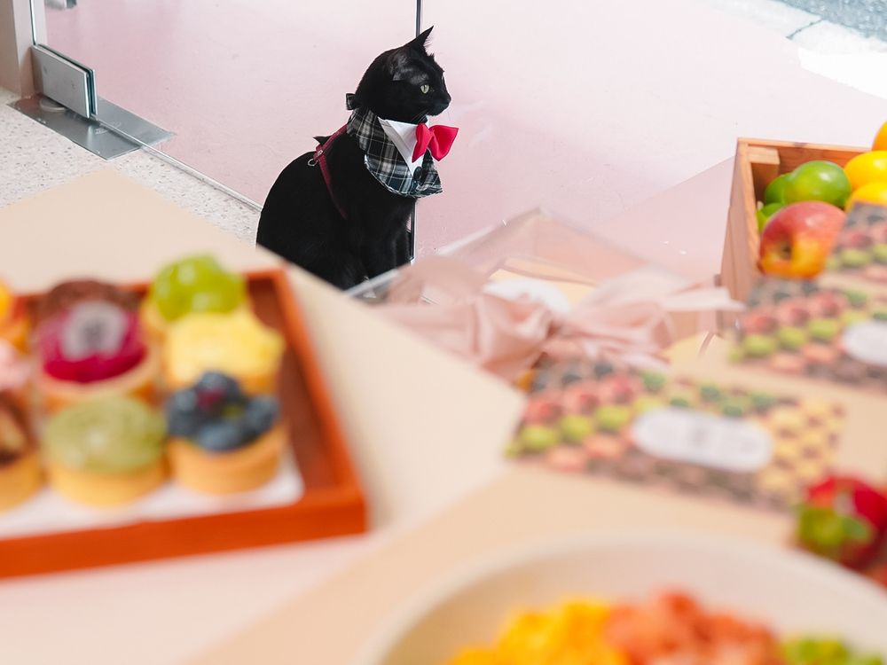 2024中山甜點店推薦！Her Rose「花型水果塔」結合台灣水果與法式甜點、美爆造型捨不得吃！-3