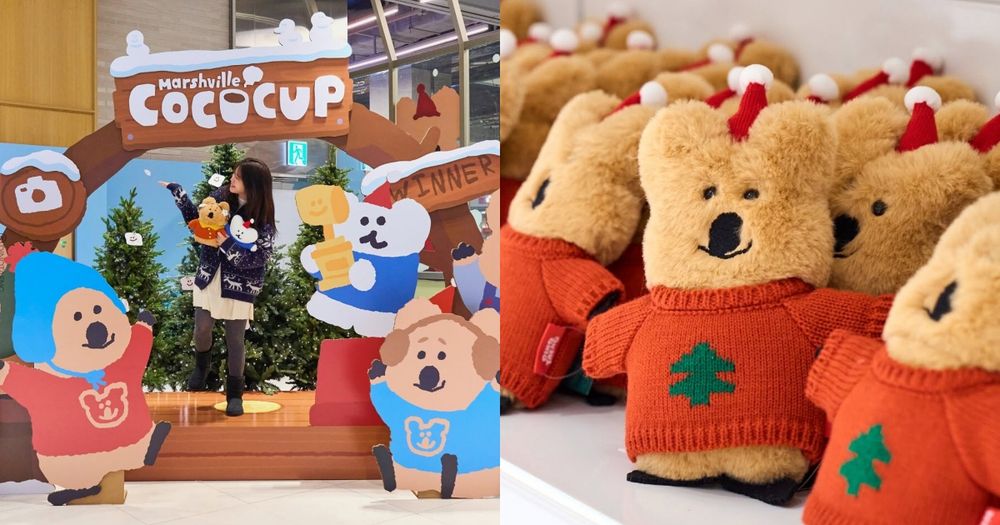 Dinotaeng冬季快閃店來了！台灣確定「這天」登場，毛衣Quokka、聖誕帽BOBO可愛必收！-1