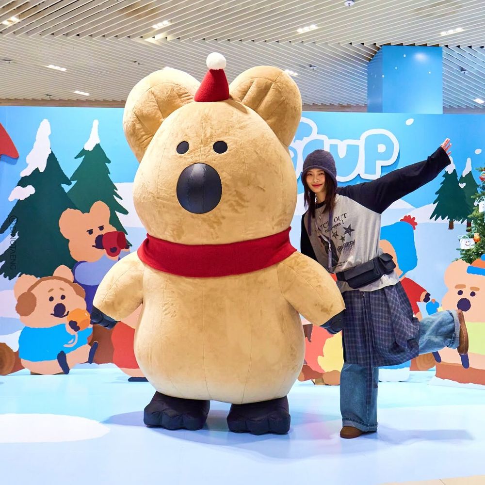 Dinotaeng冬季快閃店來了！台灣確定「這天」登場，毛衣Quokka、聖誕帽BOBO可愛必收！-5