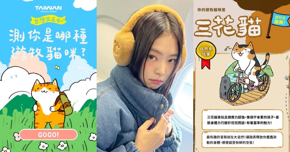 社群爆紅貓咪心理測驗！12題測你的個性最像哪種貓咪、你是活力滿滿的三花貓還是超I的紙箱貓？-1