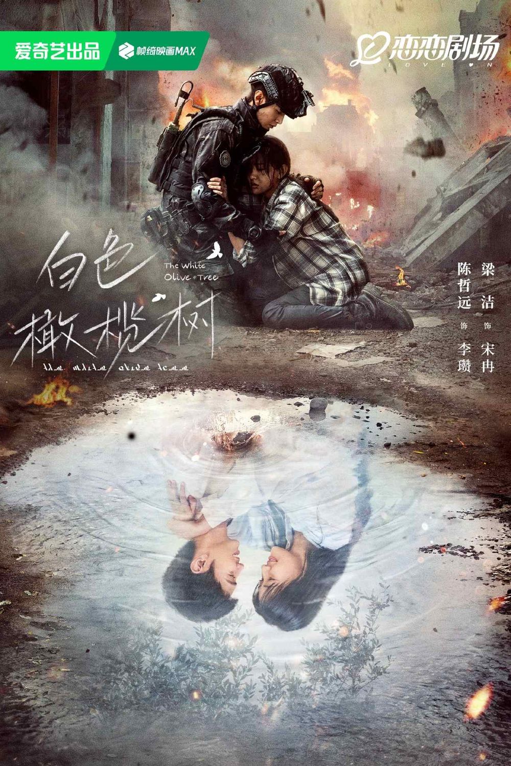現偶陸劇《白色橄欖樹》劇情看點角色介紹！BE小說天花板原著，陳哲遠&梁潔二搭上演戰地虐戀！-3