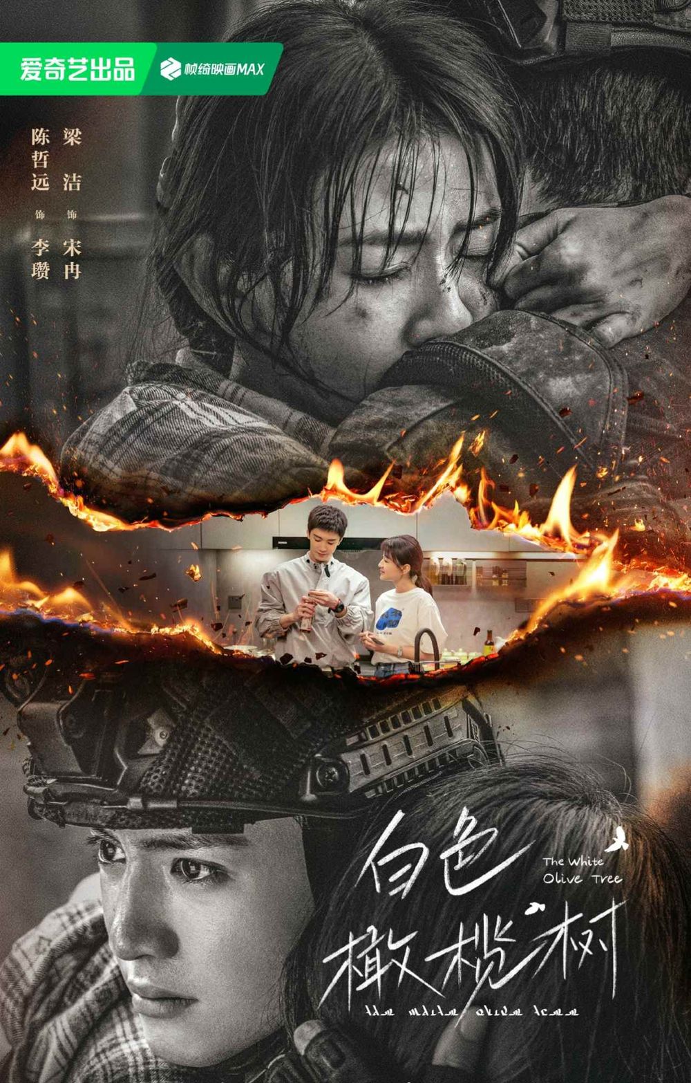 現偶陸劇《白色橄欖樹》劇情看點角色介紹！BE小說天花板原著，陳哲遠&梁潔二搭上演戰地虐戀！-6