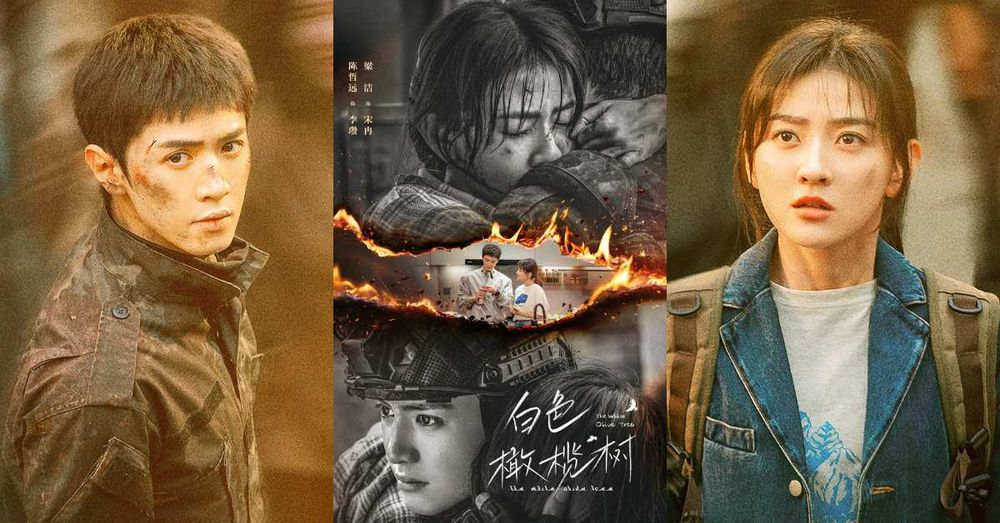 現偶陸劇《白色橄欖樹》劇情看點角色介紹！BE小說天花板原著，陳哲遠&梁潔二搭上演戰地虐戀！-1