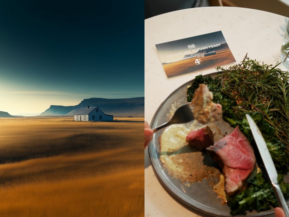 忠泰樂生活Slice餐廳秋季新菜單上市！道地冰島美食「炸鷹嘴豆泥餅、貴妃羊臀肉」台灣就吃得到！-5