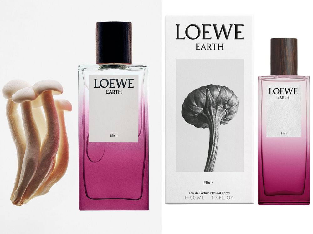 此生必擁有精品香水盤點！CELINE、Hermès、D&G都推秋季新香，DIOR精品香水更濃醇了！-19