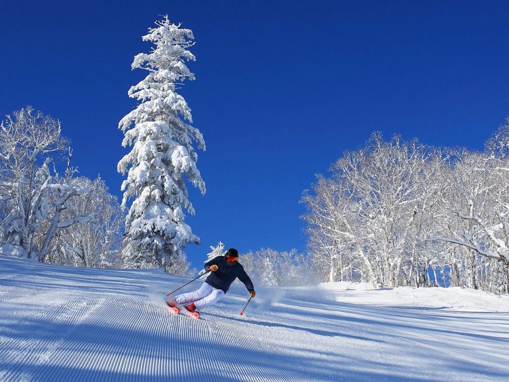 冬天就想去滑雪！精選日本5大超奢華滑雪度假村、「這間」坐擁爆美雪景+森林住到捨不得退房！-9
