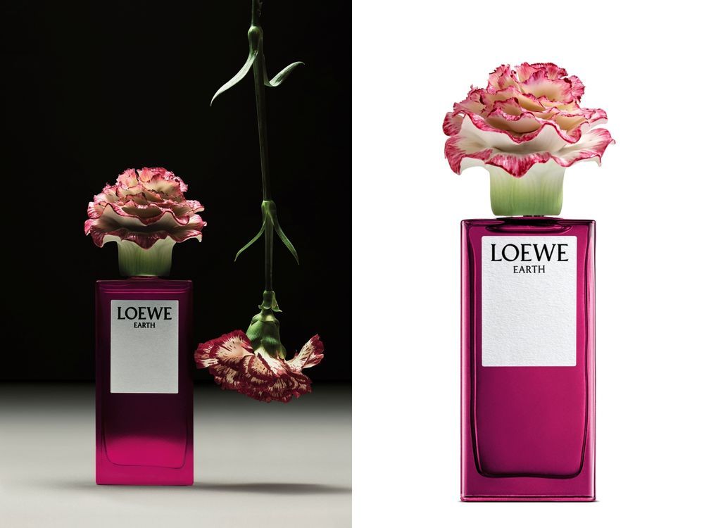 2024人生必收藏高級香水盤點！DIOR博物館級珍藏香水、LOEWE藝術花瓣瓶、嬌蘭復刻藍鑽蜂印瓶...，美到不敢直視！-4
