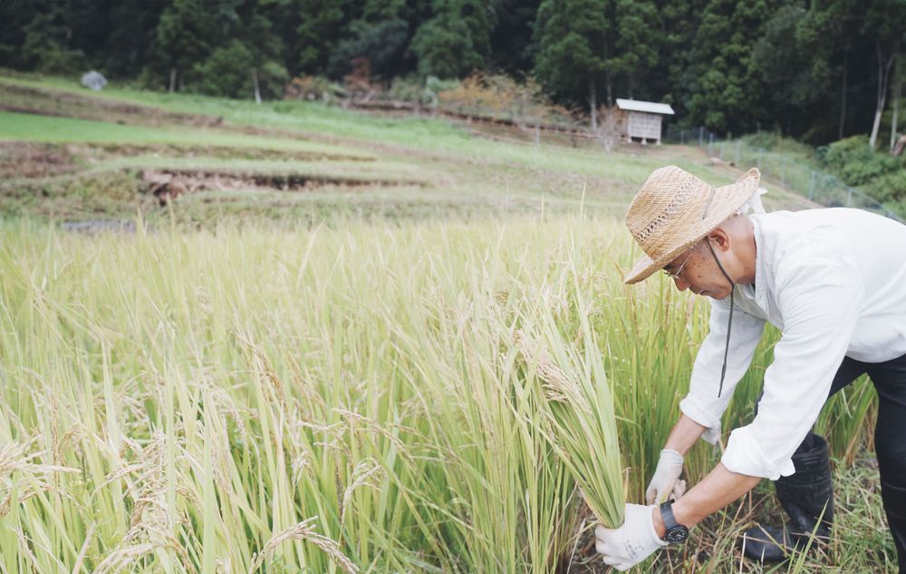 搶先住無印良品最新民宿！MUJI BASE最新「千葉慢活之旅」3亮點一次看、體驗在地生活超療癒！-5