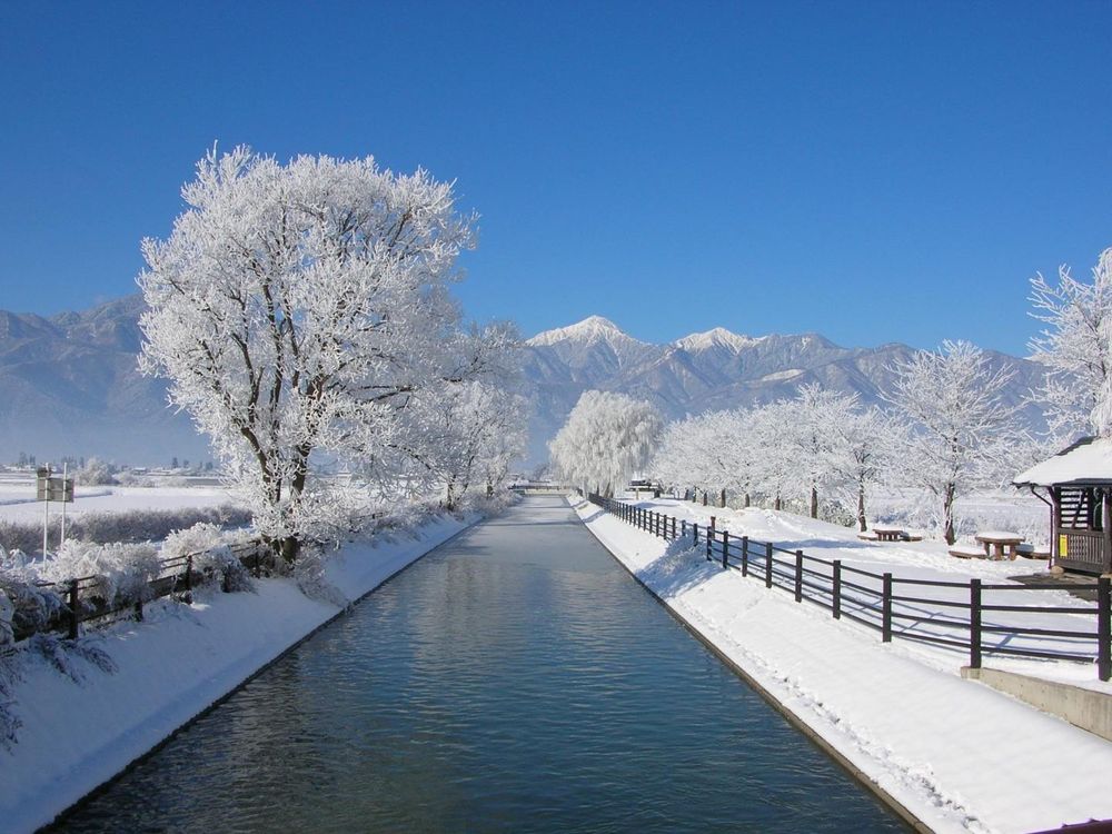 2024日本旅遊奢華新選擇！5條JR電車「雪景鐵道」拍照美翻天、夢幻銀河隧道一生一定要去一次！-2
