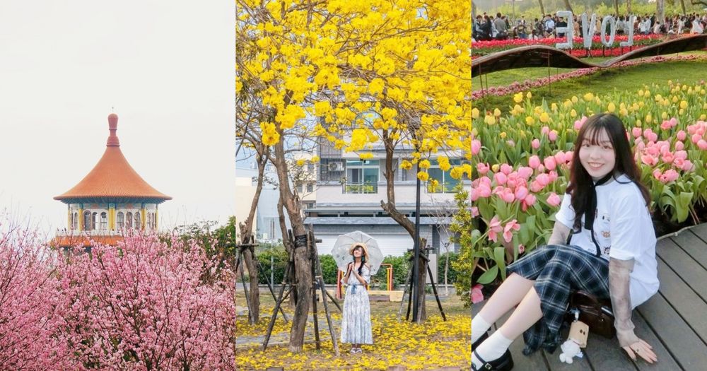 2025春季全台必拍5大花海景點推薦！士林官邸鬱金香、黃花風鈴木、櫻花花海⋯美到相機停不下來！-1
