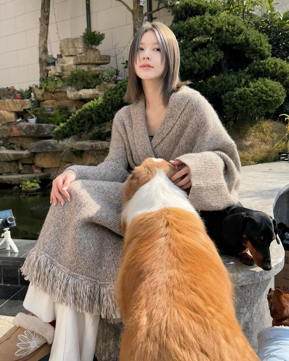 肉絲回來了！趙露思復出營業「出鏡Versace春夏大片」立體美顏、筆直美腿狀態超好！-2