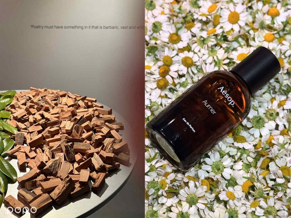 悟香水調香師再創驚豔之作！Aesop 2025全新「詠香水」白木蘭葉、羅馬洋甘菊、雪松，顛覆花香調既定印象！-5
