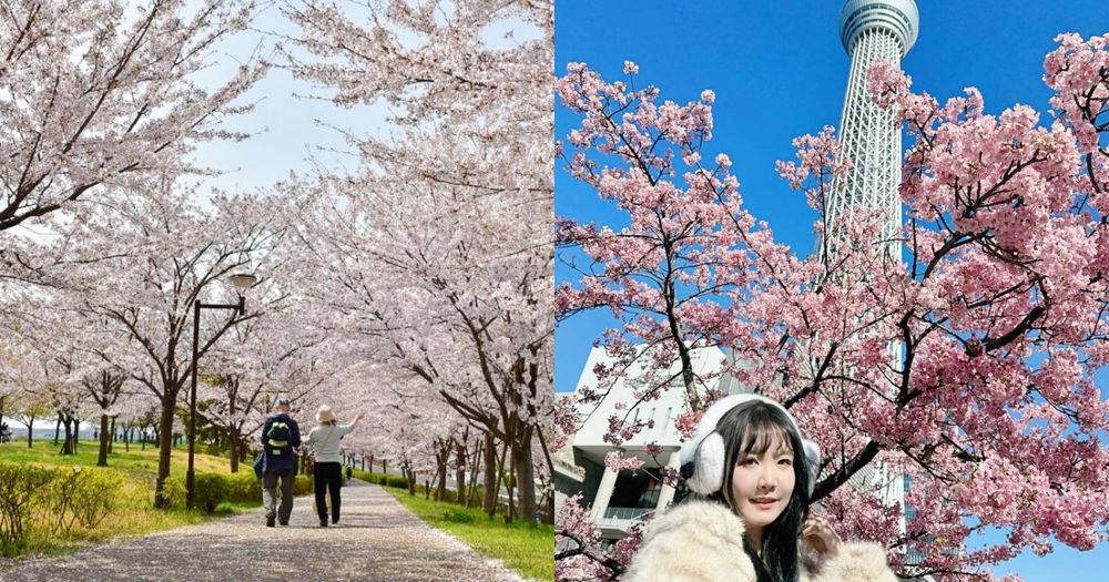 2025日本東京6大賞櫻景點推薦！木場公園爆美粉白櫻花海、隅田公園捕捉晴空塔櫻花美景夢幻炸！-1