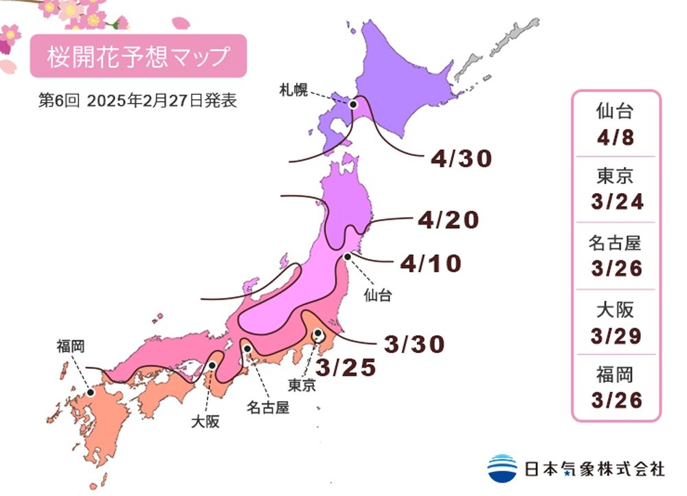 2025日本東京6大賞櫻景點推薦！木場公園爆美粉白櫻花海、隅田公園捕捉晴空塔櫻花美景夢幻炸！-2