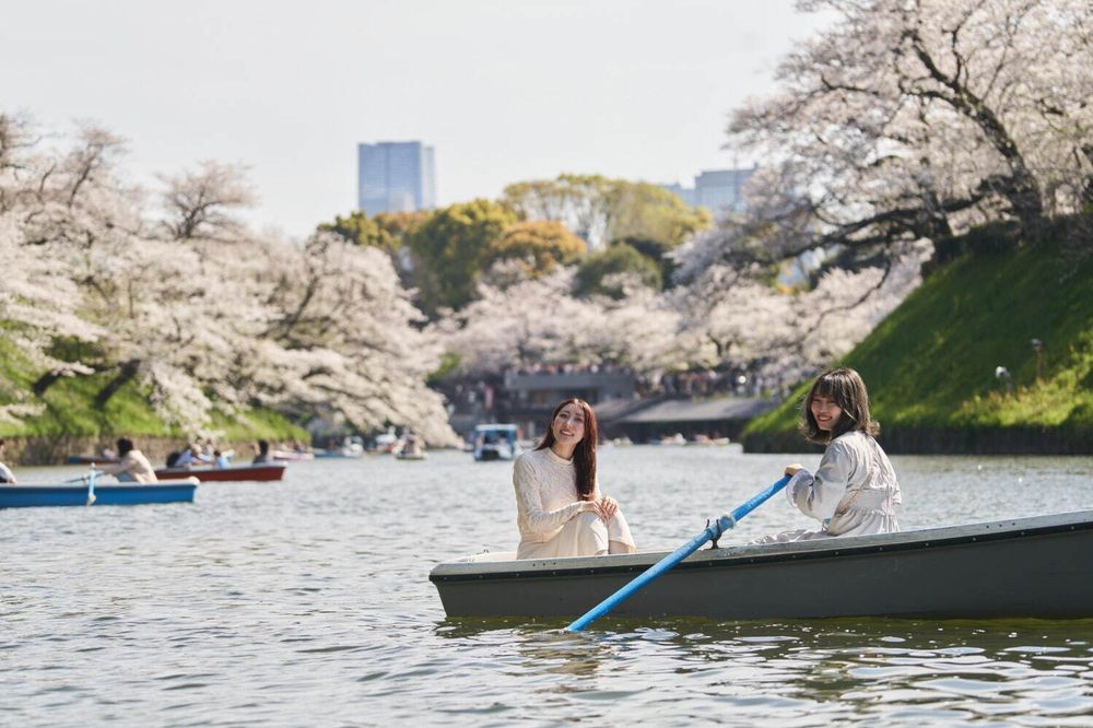 2025日本東京6大賞櫻景點推薦！木場公園爆美粉白櫻花海、隅田公園捕捉晴空塔櫻花美景夢幻炸！-13