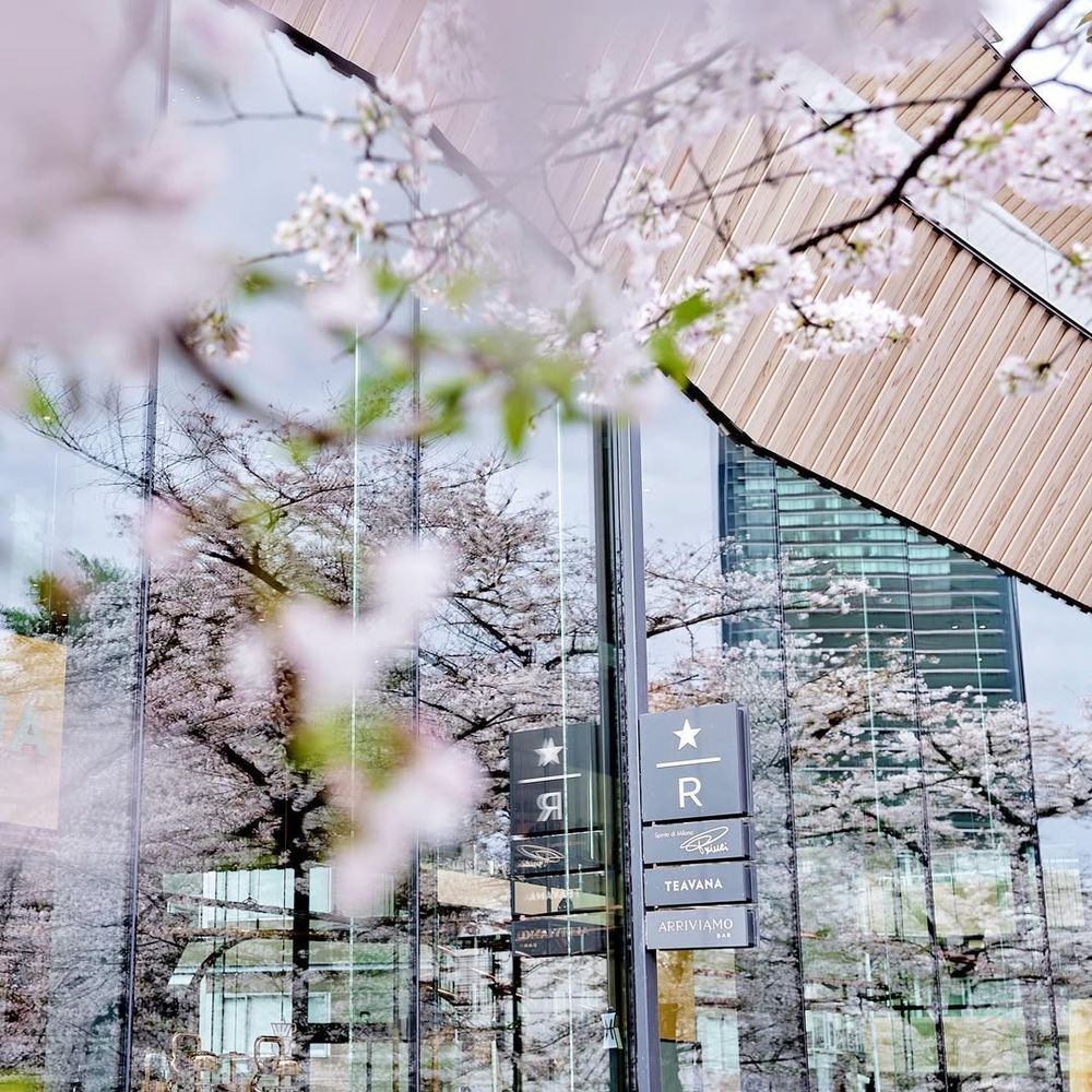 2025日本東京6大賞櫻景點推薦！木場公園爆美粉白櫻花海、隅田公園捕捉晴空塔櫻花美景夢幻炸！-14