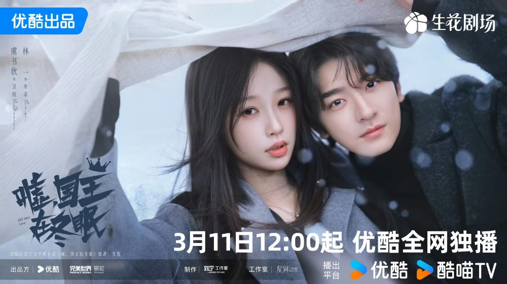 甜寵陸劇《噓，國王在冬眠》劇情看點角色介紹！林一虞書欣雙向救贖，綜藝CP合體火花超強！-3