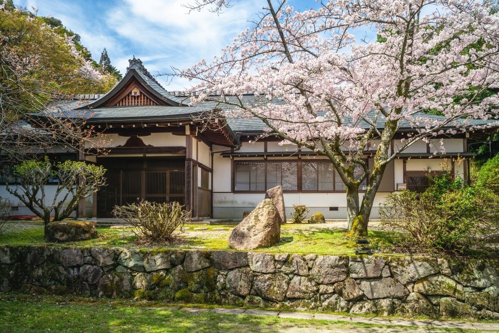 2025日本8大賞櫻景點懶人包！東京上野恩賜公園邊踩鴨子船邊賞櫻、漸層粉櫻花隧道夢幻炸！-17
