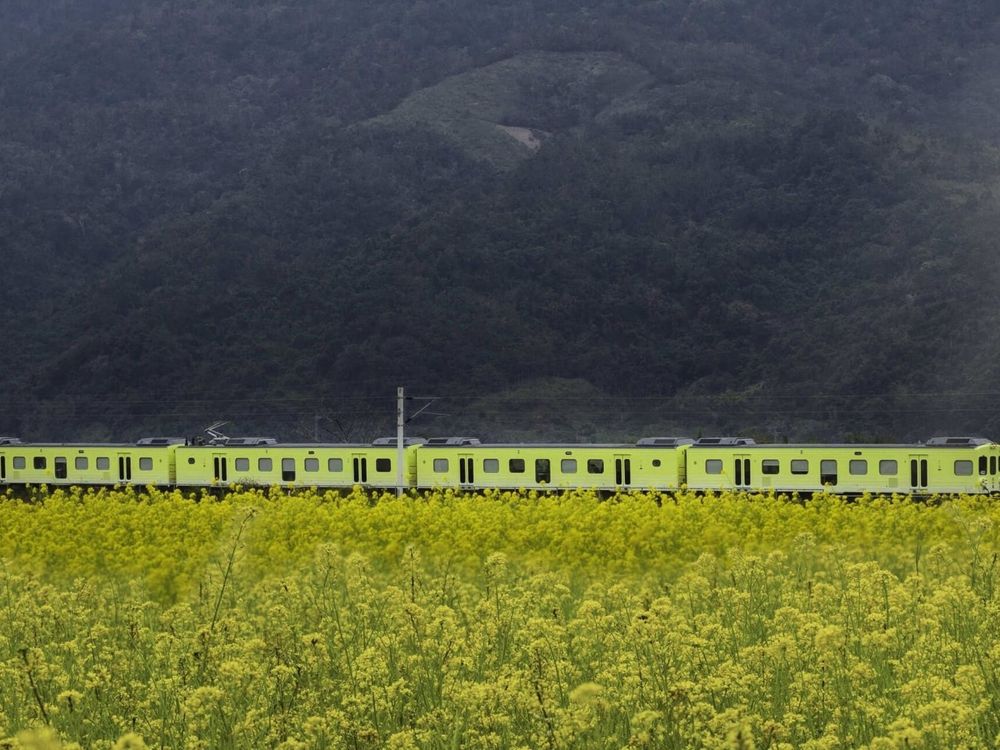 史上最美火車來了！山嵐號檸檬黃車身可愛爆炸、車上專屬木質調香氣+主題套餐打造五感鐵道之旅！-1