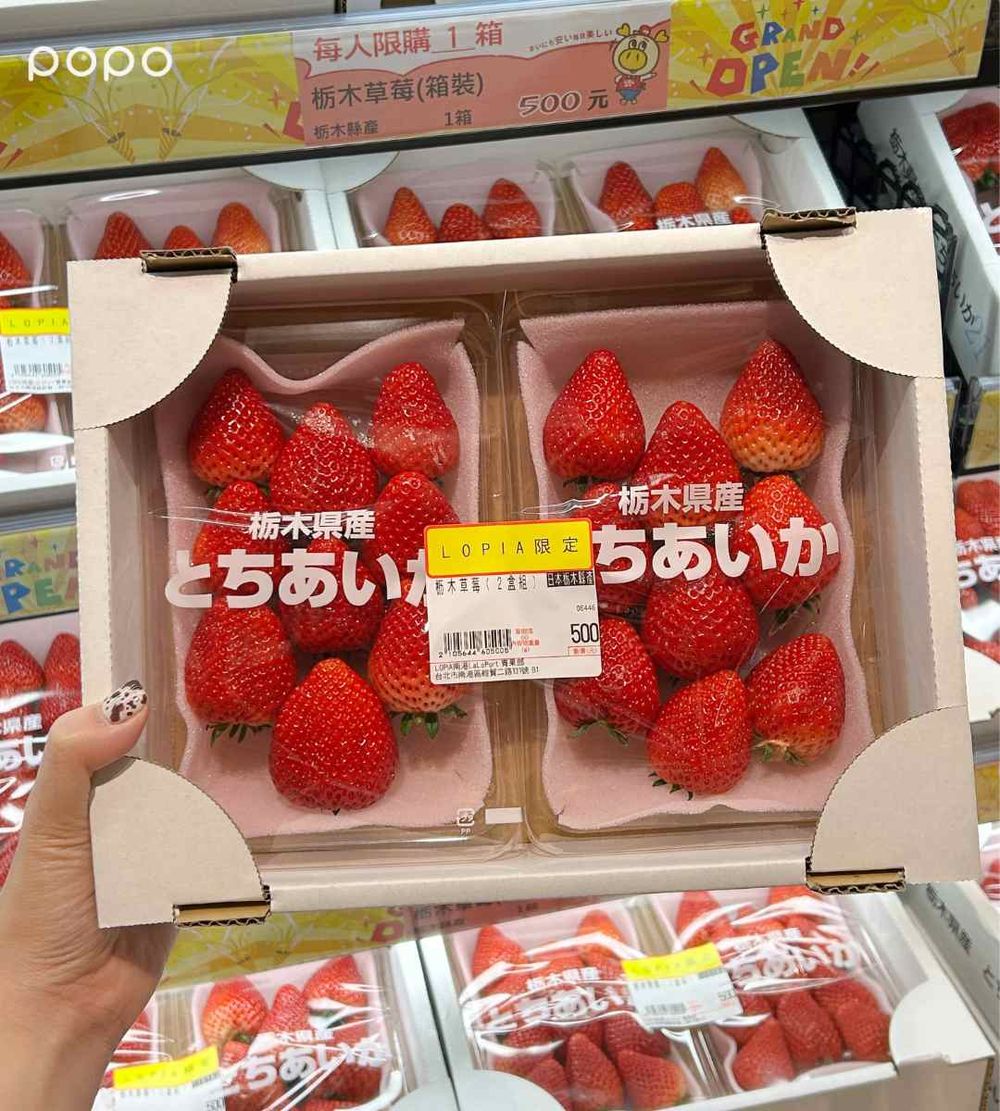 南港LaLaport來了！台北首間林聰明沙鍋魚頭、超Q龍貓大池塘、哈利波特專賣店必逛5大亮點一次看！-14