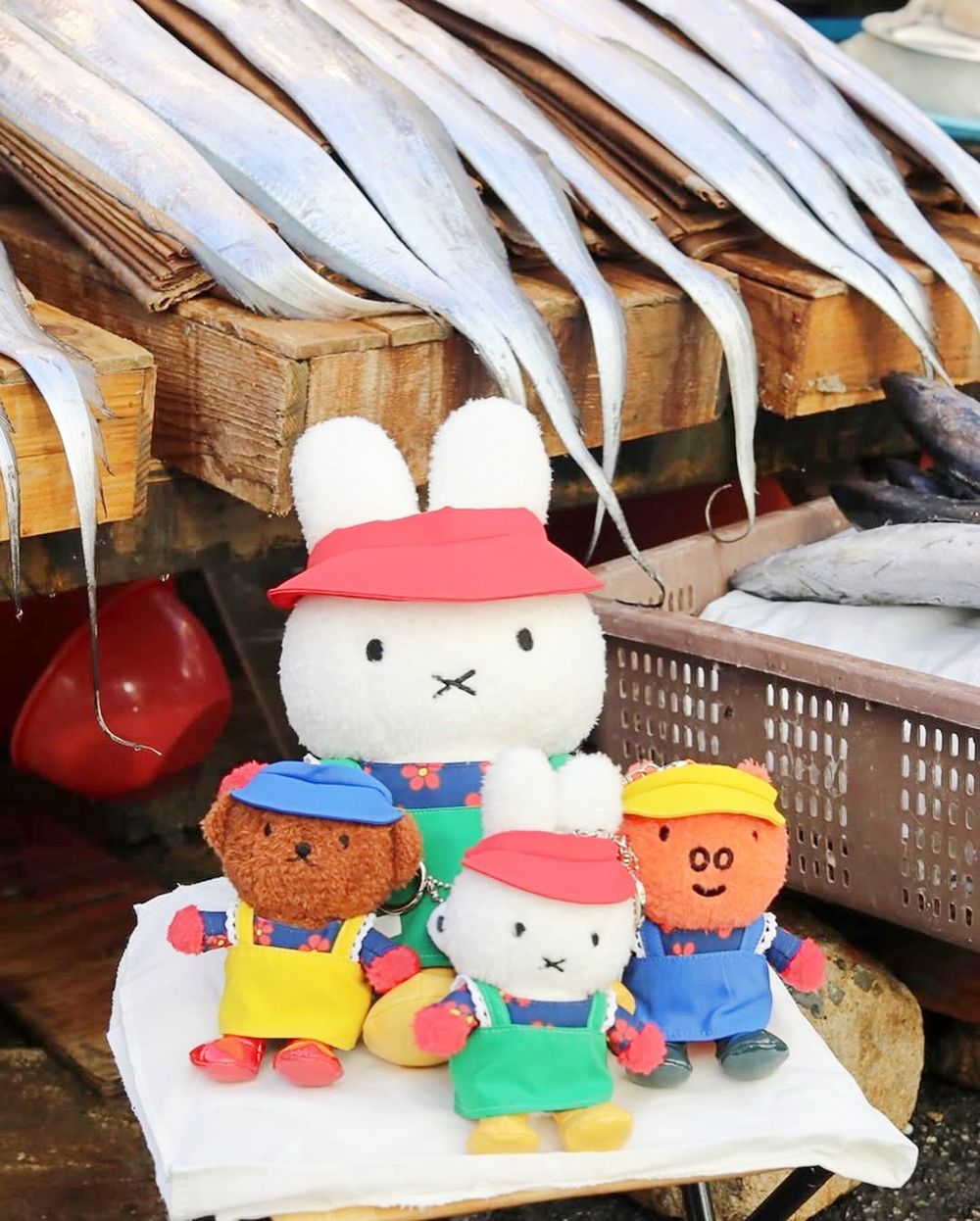 2025韓國釜山必去米飛兔咖啡廳！爆美海景+Miffy甜點飲品療癒炸、限定「魚販米飛兔玩偶」必買！-5