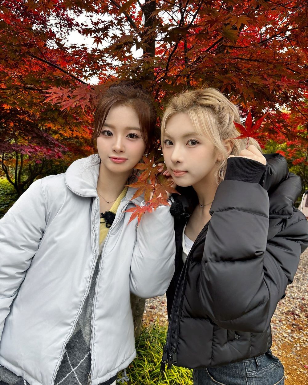 韓網熱議7組人氣超高KPOP女團同齡組合！Rosé、Lisa感情超好，薇娟Minnie「狗狗姊妹」相愛相殺！-9