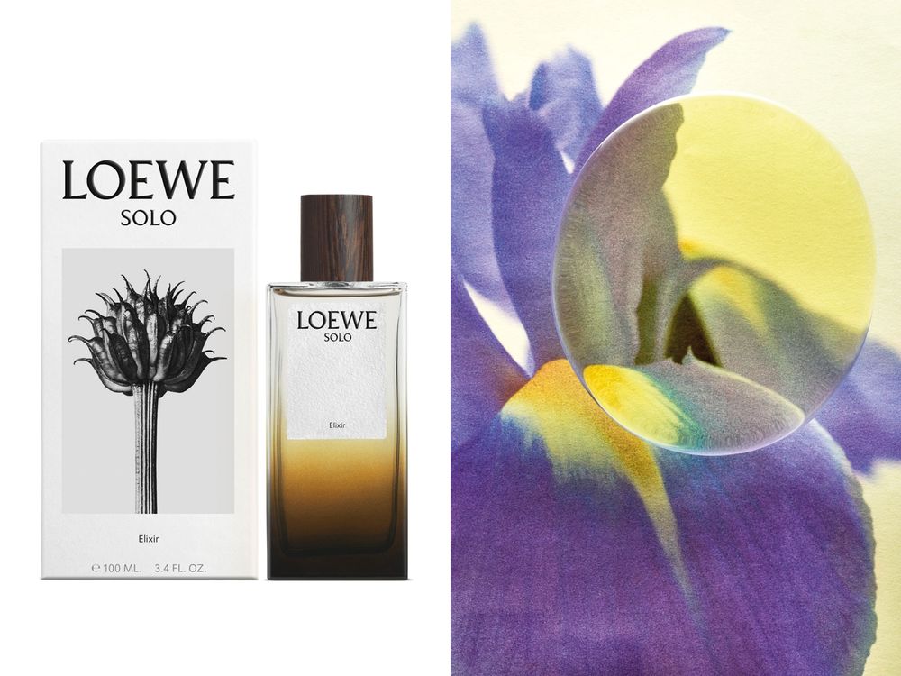 王一博同款男性體香必收！LOEWE第五款新作「獨奏宣言男士濃香精」西班牙岩薔薇、薰衣草、乳香溫暖交融氣息！-4