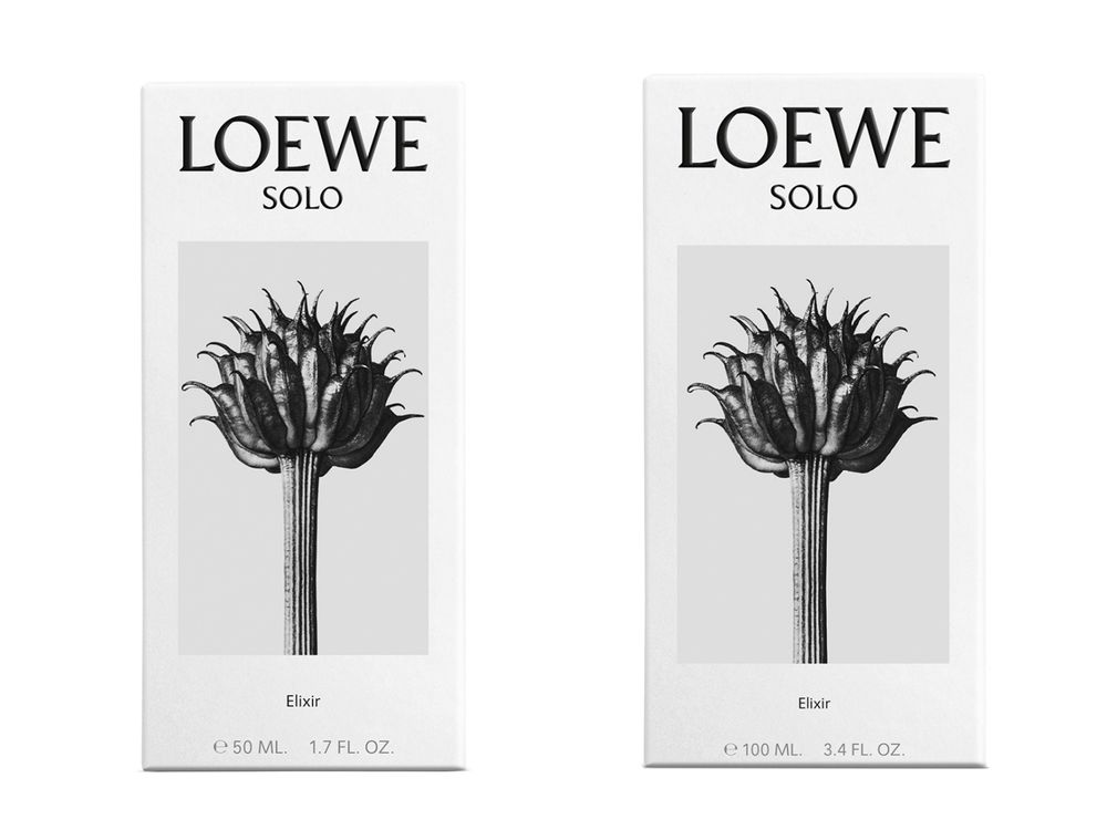 王一博同款男性體香必收！LOEWE第五款新作「獨奏宣言男士濃香精」西班牙岩薔薇、薰衣草、乳香溫暖交融氣息！-8