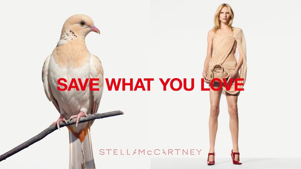STELLA McCARTNEY春夏新包放大絕！菜籃子包入門必買、吐司包成精品包大黑馬！-9