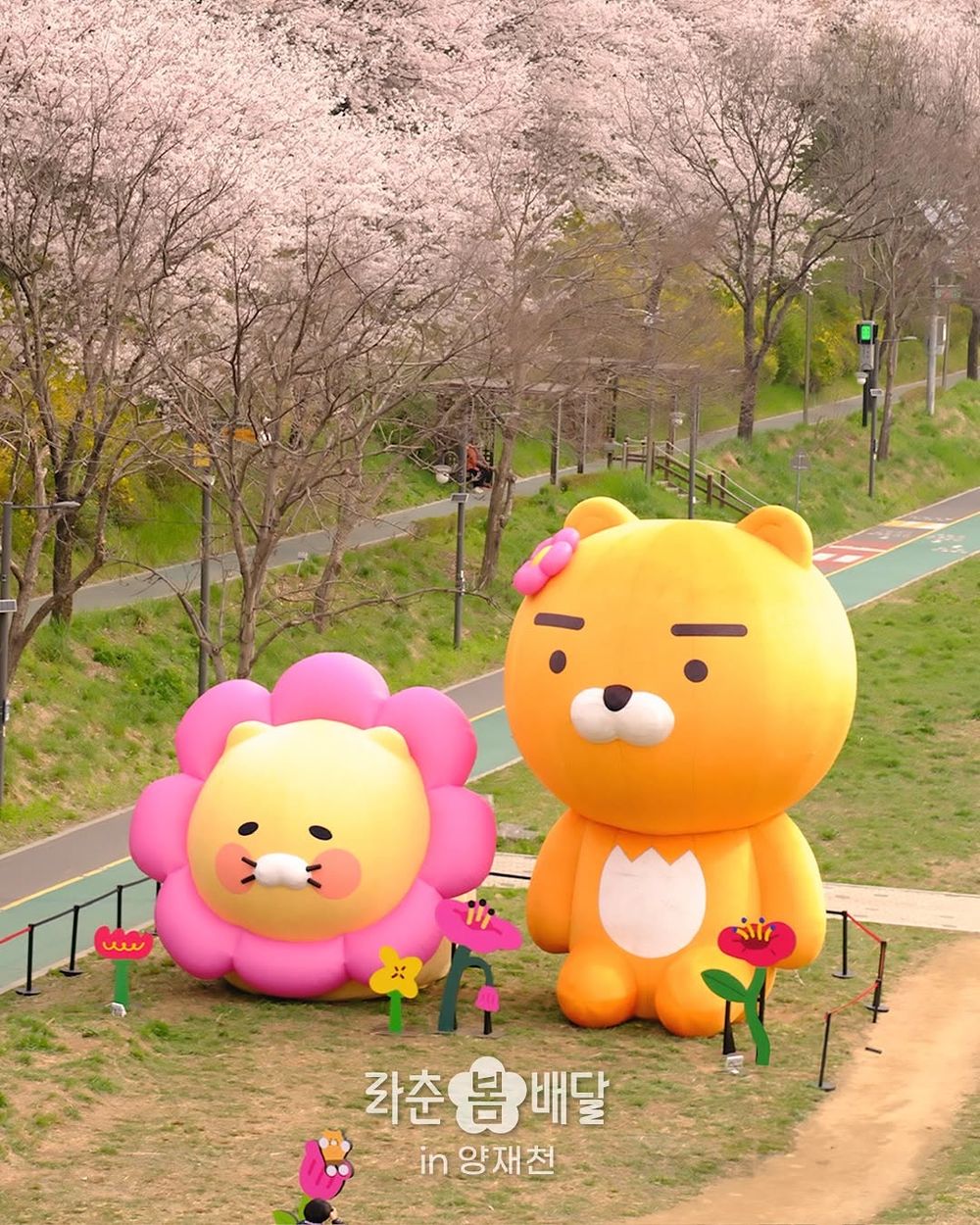 要去首爾玩的快看！春季限定巨大萊恩&春植限時「在這」登場，還能免費獲得櫻花造型小卡、氣球拍美照！-3