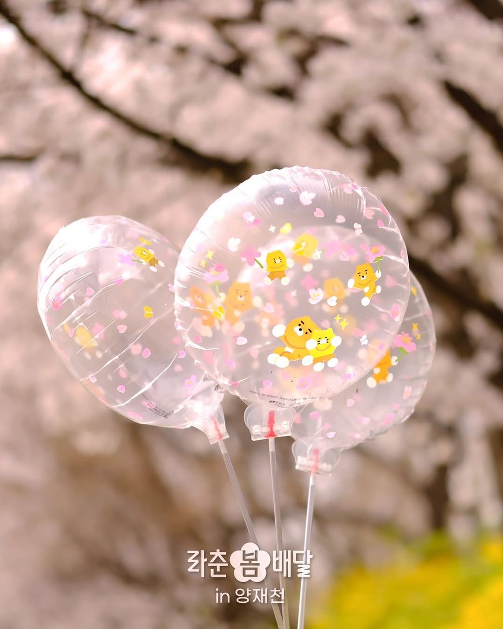 要去首爾玩的快看！春季限定巨大萊恩&春植限時「在這」登場，還能免費獲得櫻花造型小卡、氣球拍美照！-6