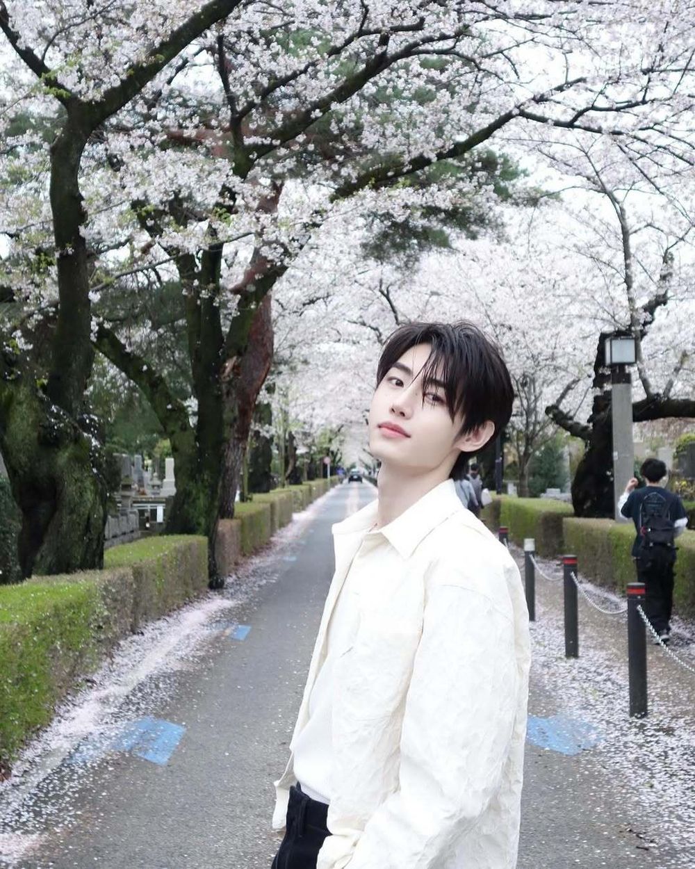 韓網票選最想一起賞櫻的KPOP男偶像TOP7！車銀優、成訓充滿男友即視感！-6
