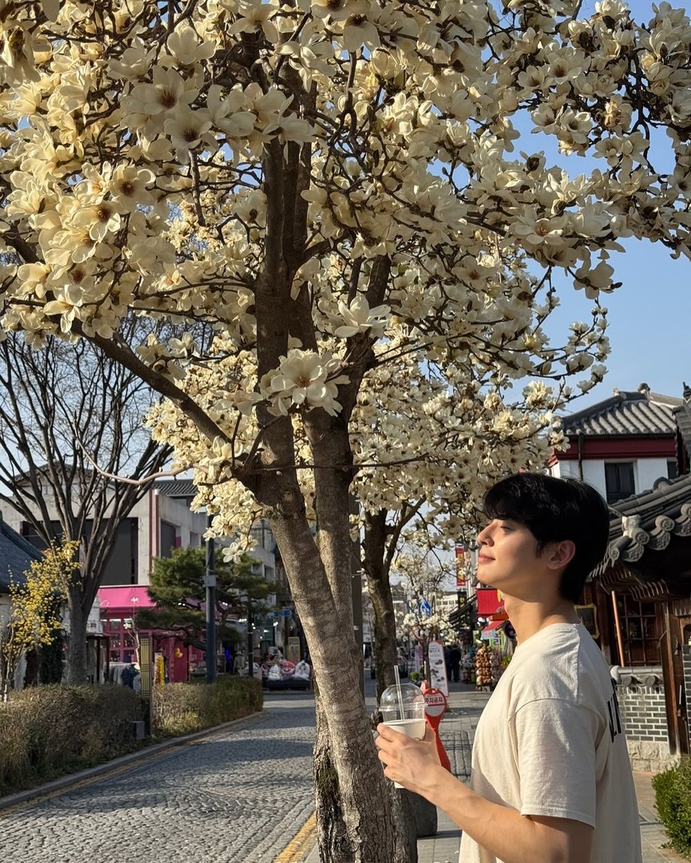 韓網票選最想一起賞櫻的KPOP男偶像TOP7！車銀優、成訓充滿男友即視感！-13