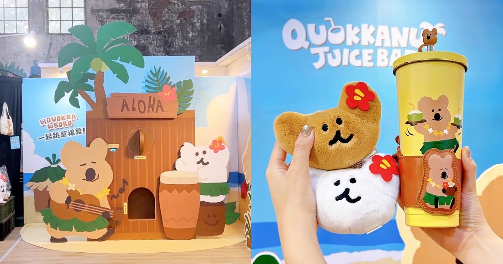 DINOTAENG「海灘果汁吧」快閃華山！超可愛「草裙Quokka吸管杯、扶桑花BOBO玩偶」必買一次看-12