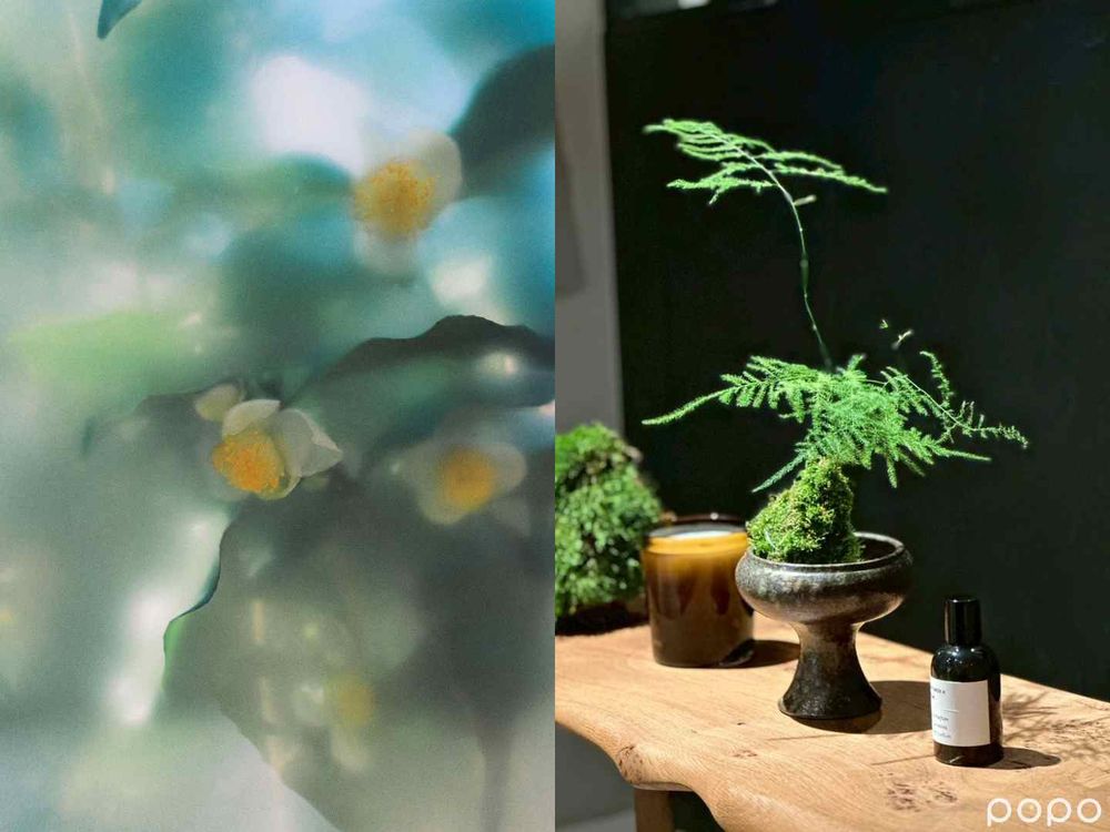 英國神秘香氛品牌Perfumer H，推首款茶香調香水「STEAM氤氳淡香精」，清晨果香、輕盈花香佐以瑪黛葉木質香調！-3