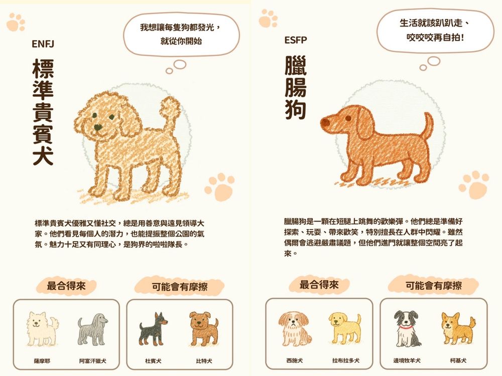 脆上爆紅「狗狗MBTI心理測驗」！8題測你的隱藏人格、你是ENFP博美犬還是INFP薩摩耶？-6