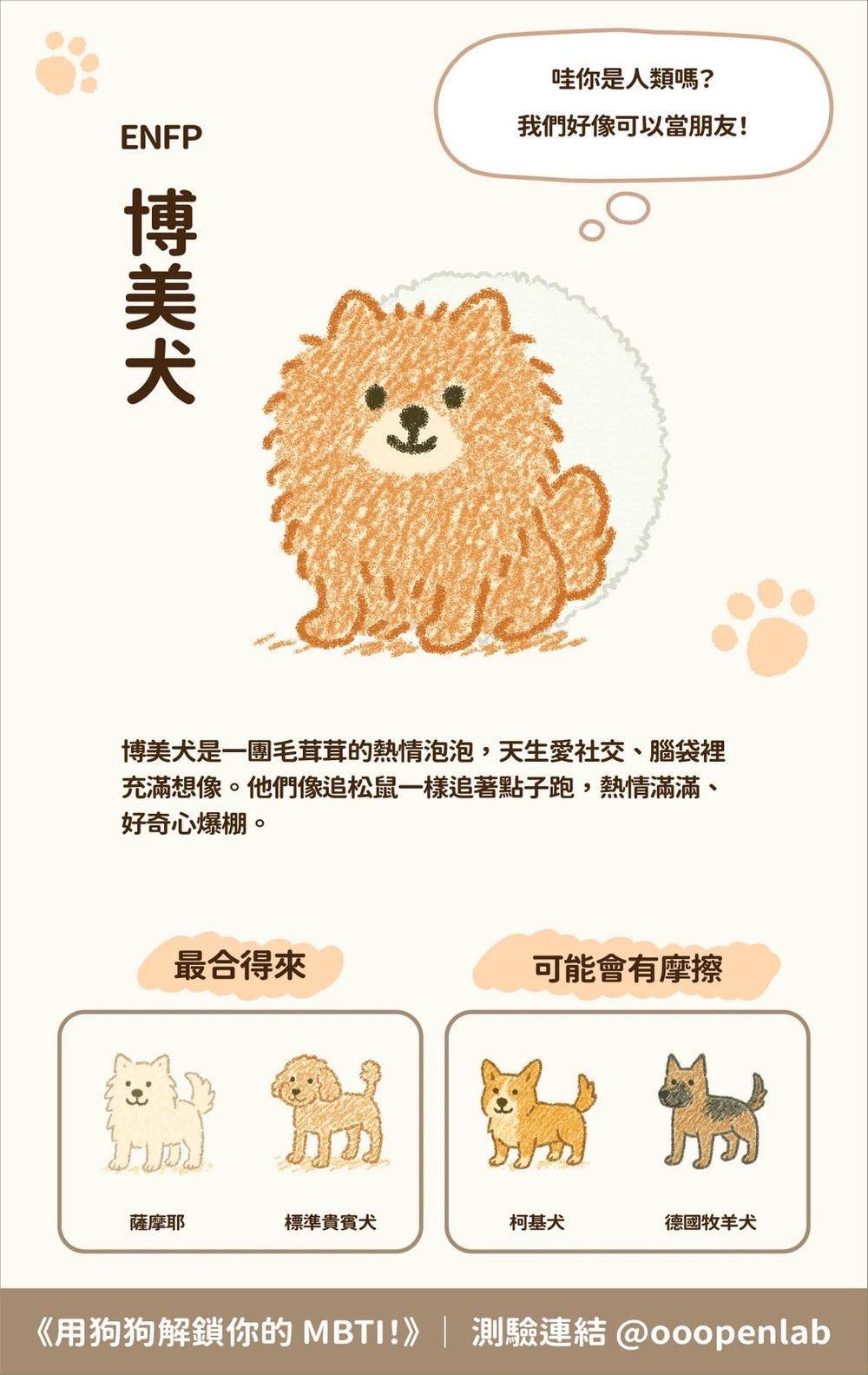 脆上爆紅「狗狗MBTI心理測驗」！8題測你的隱藏人格、你是ENFP博美犬還是INFP薩摩耶？-7