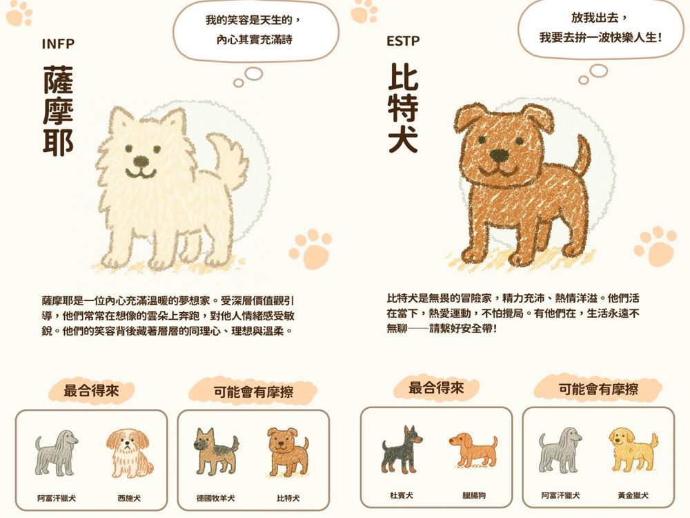 脆上爆紅「狗狗MBTI心理測驗」！8題測你的隱藏人格、你是ENFP博美犬還是INFP薩摩耶？-8