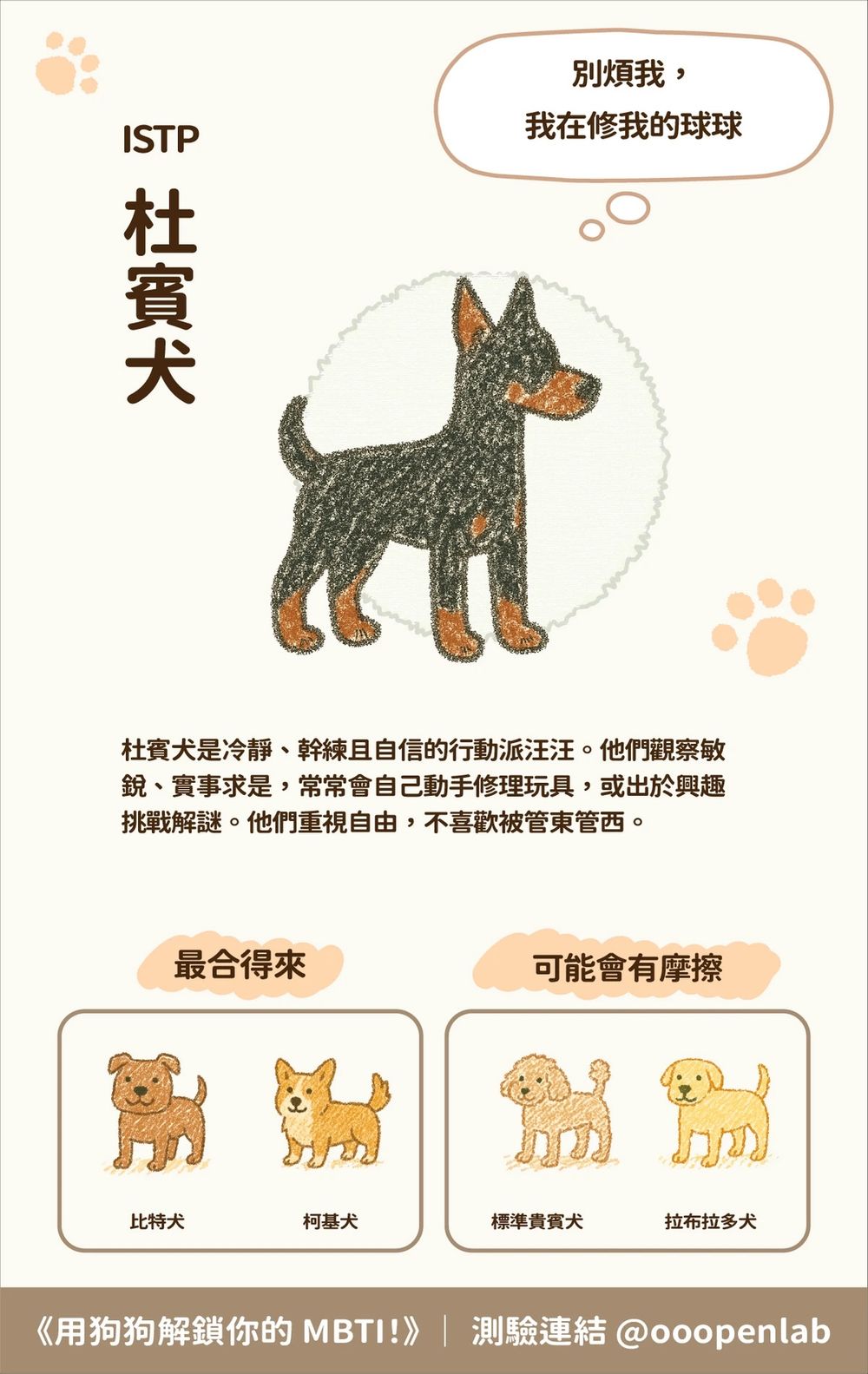 脆上爆紅「狗狗MBTI心理測驗」！8題測你的隱藏人格、你是ENFP博美犬還是INFP薩摩耶？-10