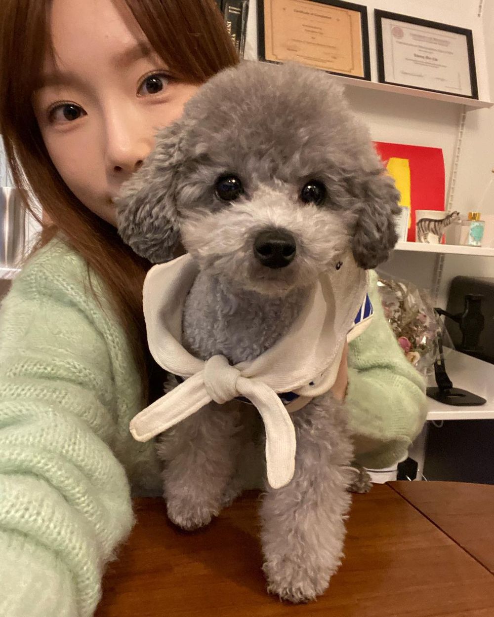 網熱議6組超有名的KPOP偶像×寵物組合！V、Rosé愛狗人氣直逼主人，GD愛貓爆紅出聯名周邊！-2